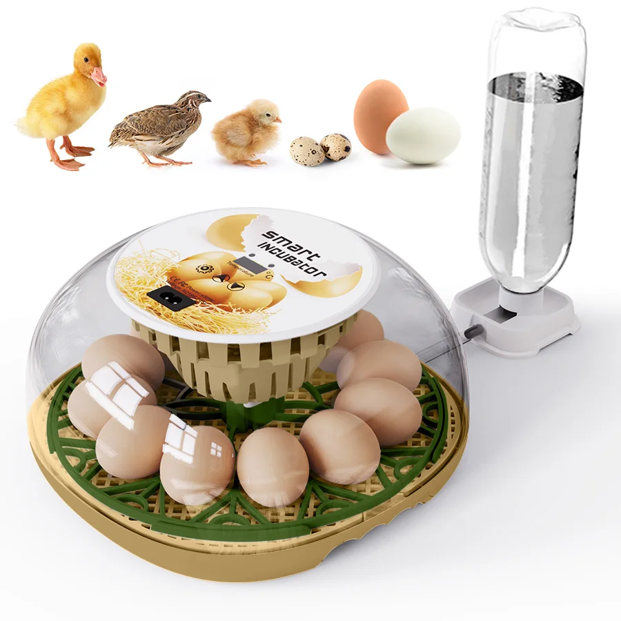 Huishoudelijke kleine kip, eend, gans eierincubator voeg automatisch water toe Intelligente temperatuurregeling 12 incubators