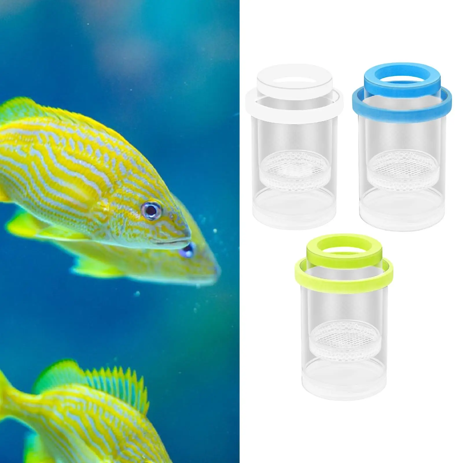 حاضنة حوض السمك التفريخ صندوق التفريخ حضانة الأسماك زراعة الحاويات حاضنة التورخ الأسماك للأسماك الروبيان بيتا #1