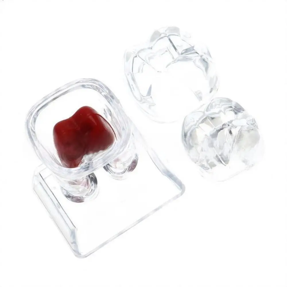 

С основанием, разлагаемая модель зубных зубов, отделяемая жесткая стоматологическая анатомическая структура, съемная прозрачная