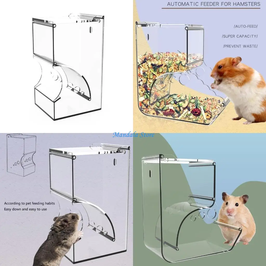 

U2JC Squirrels Hamsters Feeder Treat Tray for Small Pets Hedgehogs Squirrels 300ML Treat Containers Feeder Supplies