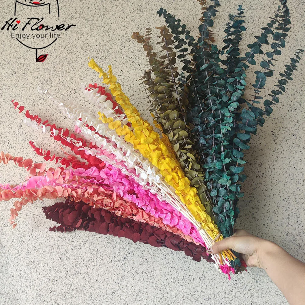 Natural Dried Eucalyptus Leaf Large Branch Rich Diy Flower Arrangement Boho Hoom Decoration 10pcs Preserved Eucalyptus Leaves