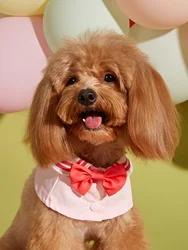Cute Dog Bandana Puppy Cat Bowknot Scarfs Washable Daily Scarf Bibs Saliva Towel for Small Medium Girl Boy Pup Pet Wedding