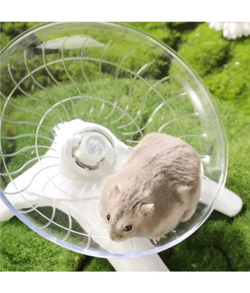 

Hamster Running Disc Toy Sport Running Silent Transparent Small Pet Rotatory Jogging Wheel Wheel Toys Pet Hamster Cage Supplies