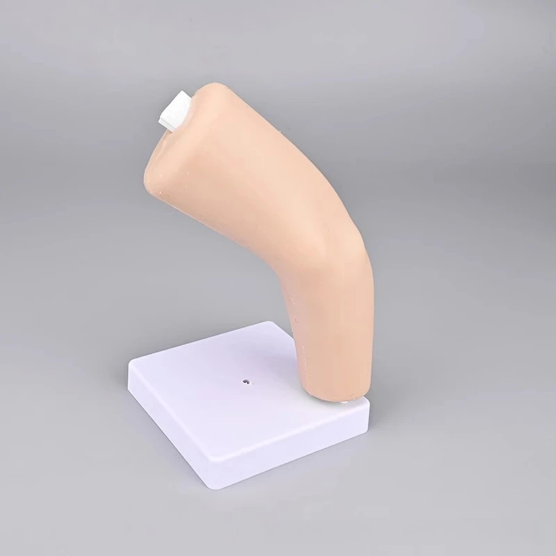Elbow Joint Simulation Training Model, Arthroscopic Simulation Trainer