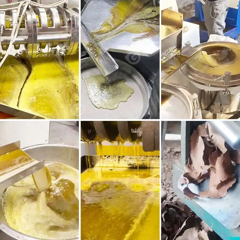 Palm Fruit Kernel Oil Milling Zimbabwe 6yl-130 Coconut Extraction Press Presser Pressing Machine in South Africa