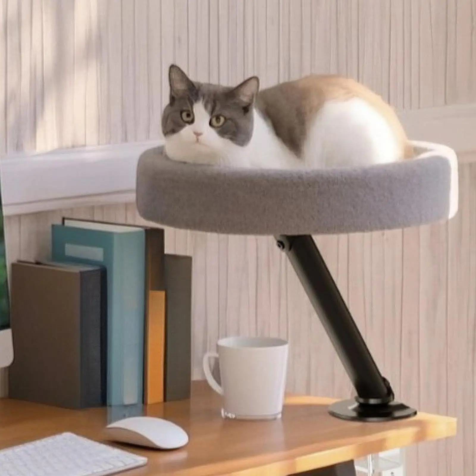 Cat Bed Desk Cat Bed for Desk Elevated Stylish Space Saving Kitten Furniture Cat Hammock for Side Table Office Study Room Home