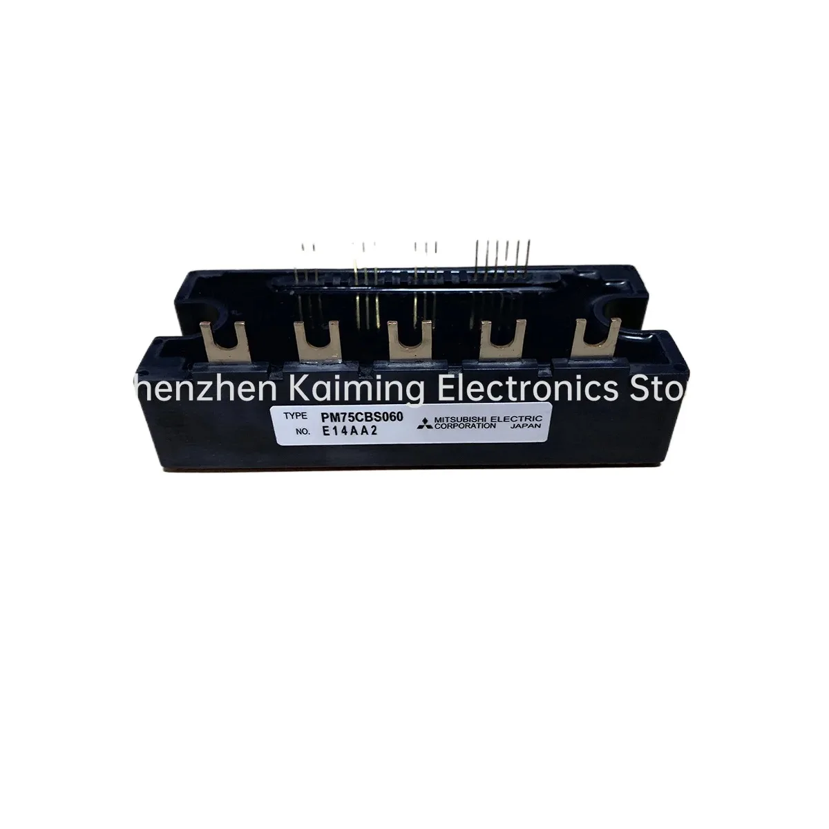 

PM75CBS060 PM50CBS060 PM100CBS060 PM150CBS060 PM200CBS060 PM300CBS060 NEW MODULE
