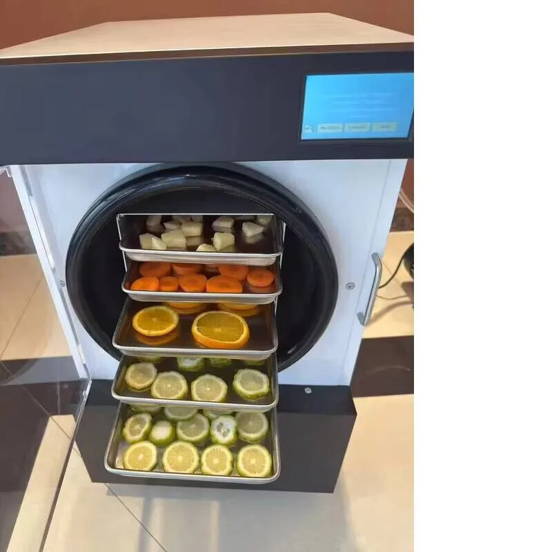 Freeze Dryer Dried Food Vacuum Mini Fruit And Vegetable Household Price