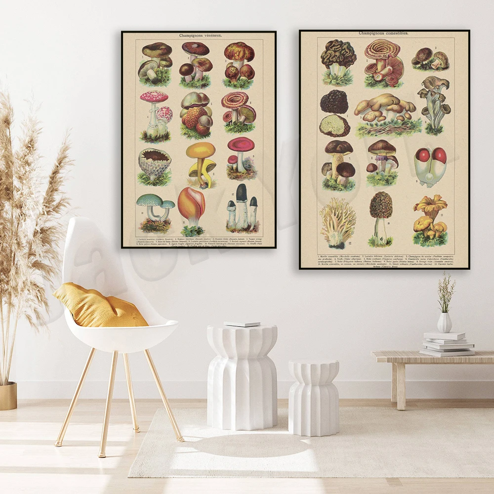 Vintage Edible Mushroom Illustration, Mushroom Print, 19th Century Art Painting Print Office Study Wall Decor Poster