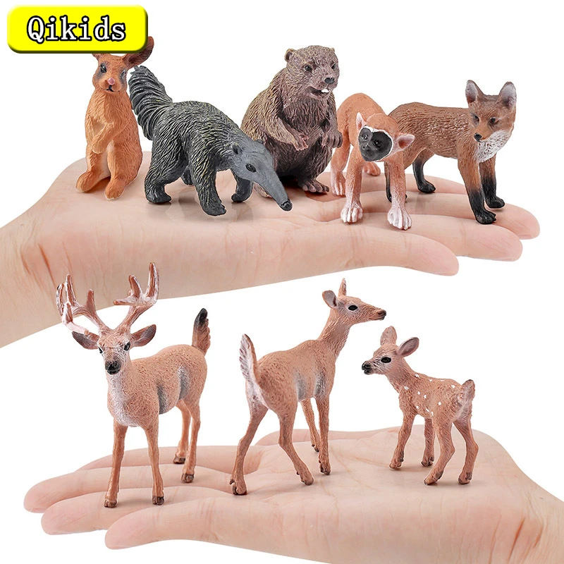 New Simulation Forest Wild Animals Model Red Fox Beavers Squirrel monkeys Anteater Action figure PVC toys Figurine Gift For Kids