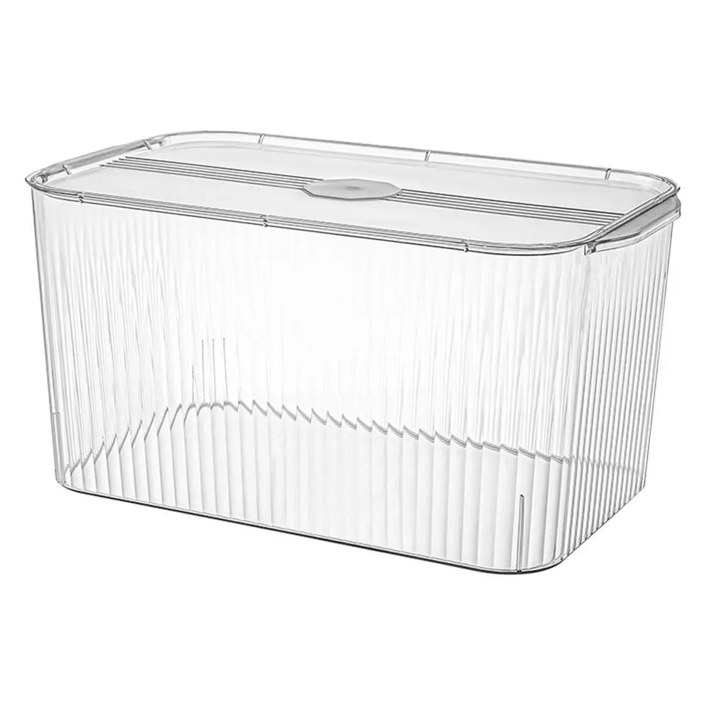 Clear Extra Large Plastic Container Storage Box