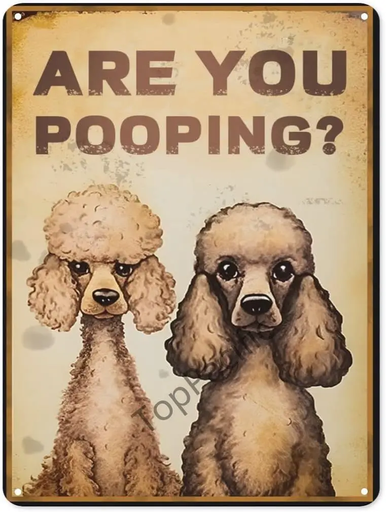12x8 inches Poodle 