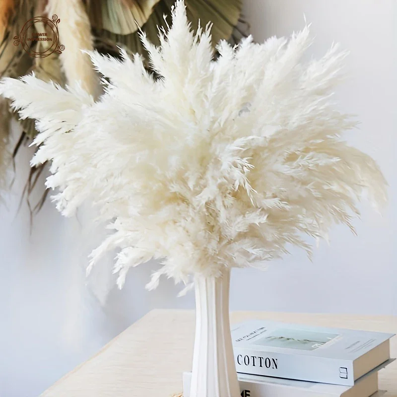 Natural White Pampas Grass Decor Dried Flowers Farmhouse Boho Home Tables Decoration Christmas Party Supplies Artificial Flower