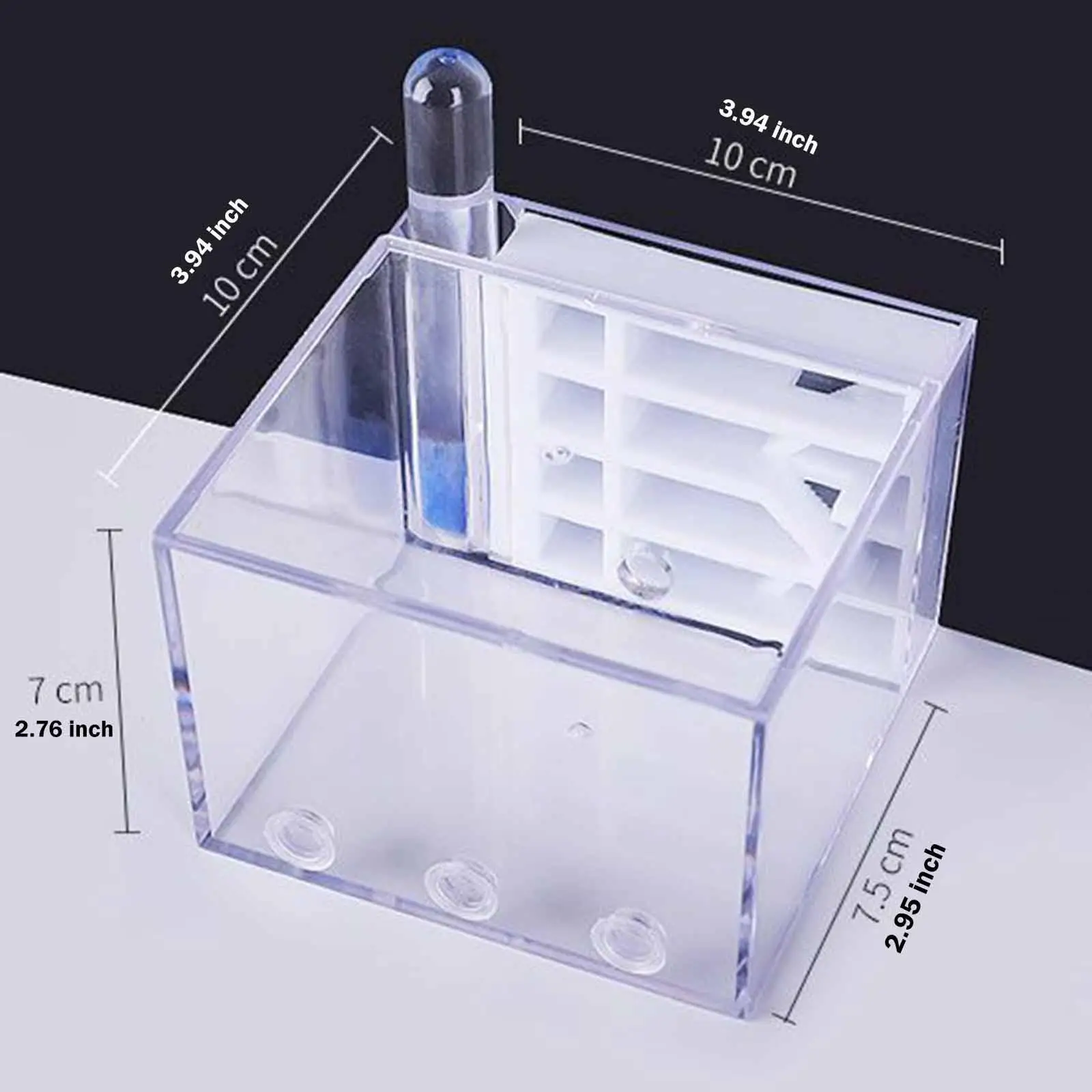 ANT Farm DIY Science Educational Study Easy to Assemble ANT Habitat for Home Decor Birthday Science Observation Childrens Day