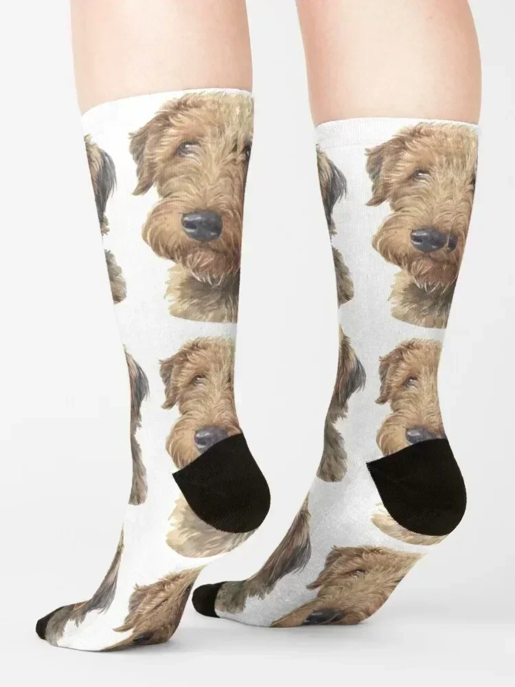 الويلزية جحر المائية الفن الجوارب تو الرياضة الهيب هوب اليابانية الأزياء الفاخرة الرجال الجوارب الفاخرة المرأة #4