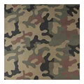 Polish Woodland Camo