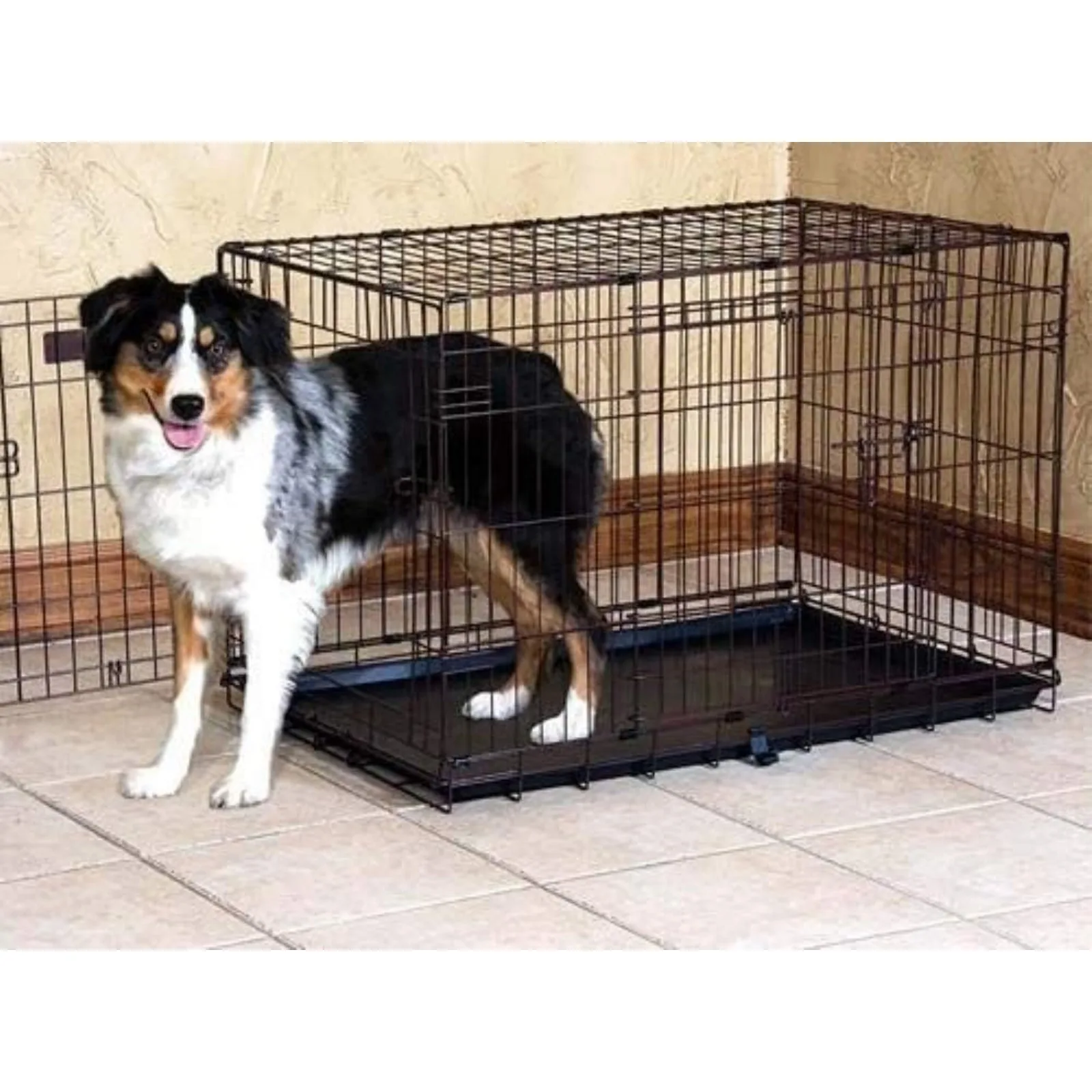 

US Precision Pet Products Two Door Great Crate Wire Dog Crate, 42 Inch, For Pets 70-90 lbs, With 5-Point Locking System