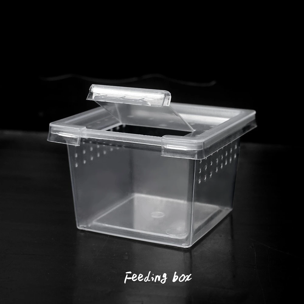 10x Feeding Box Reptile Cage Hatching Container Rearing Tank Clear Reptile Vivarium Terrarium Insect Rearing Box Food Feeding