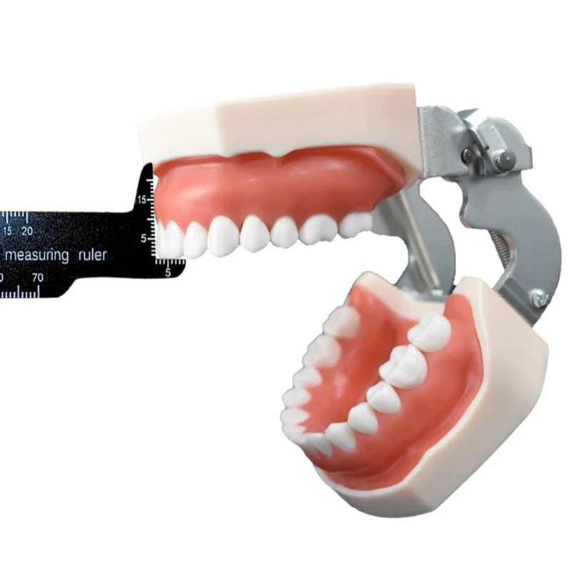 Autoclavable Dental Precision Teeth Measuring Ruler for Dentistry Photography Tooth Measurement and Calibration