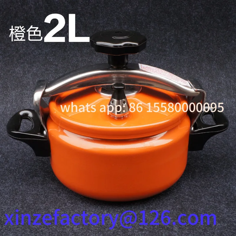 

Customizable Home Outdoor Mini Pressure Cooker