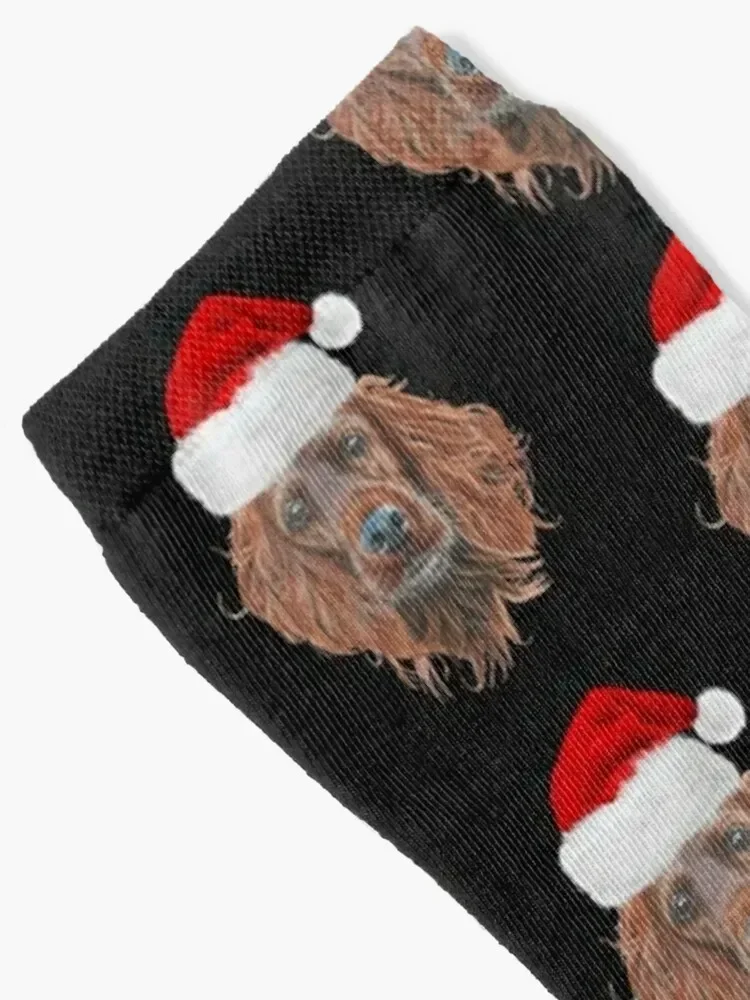 Christmas Irish Setter Socks kids warm winter colored Socks Girl Men's