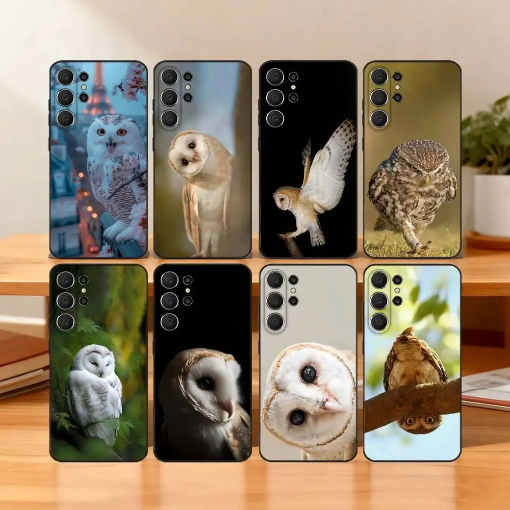 C-Cute-S-Silly Owl … - image