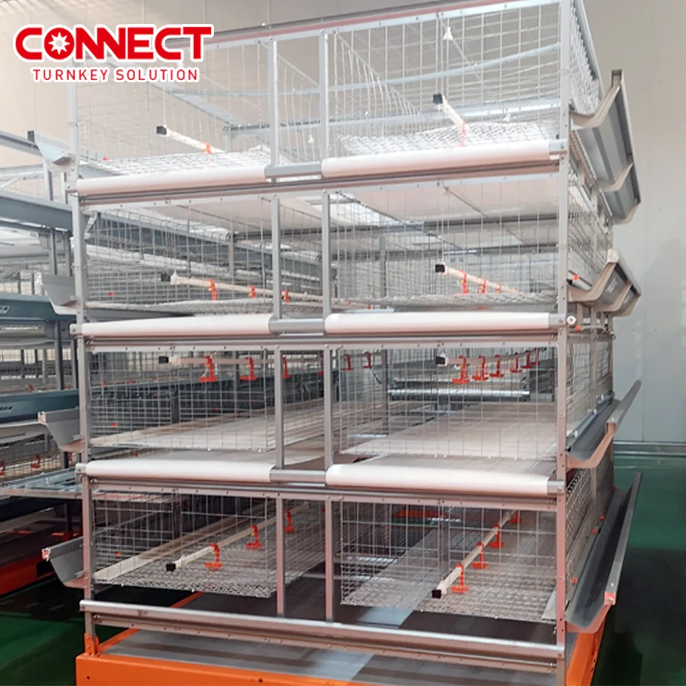 50000 Large Automatic Poultry Farm Automatic Broiler Feeder Chicken Battery Cage h Type System for Chicken Hencoop Line Factory