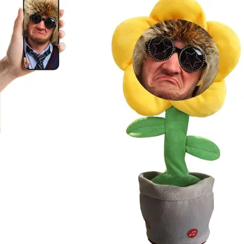 Photo personnalisée, visage de fleur, pétale, cadeau d'anniv...