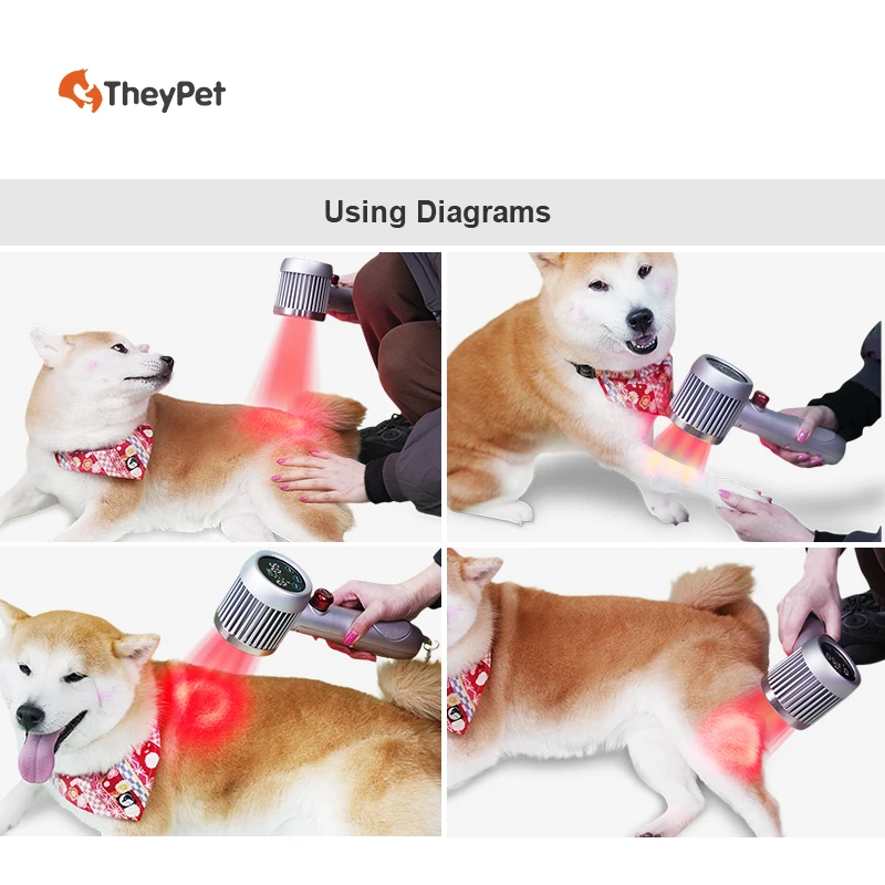 Veterinary Hospital Animal Use Class 4 Powerful Laser Therapy Device For Horse Dog Wound Healing Arthritis Pain Relief