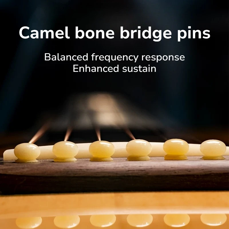 High-density Guitar Bridge Pin Bright Smooth Stable Sturdy Excellent Tone Guitar Bridge Pins Musical Instrument Accessories
