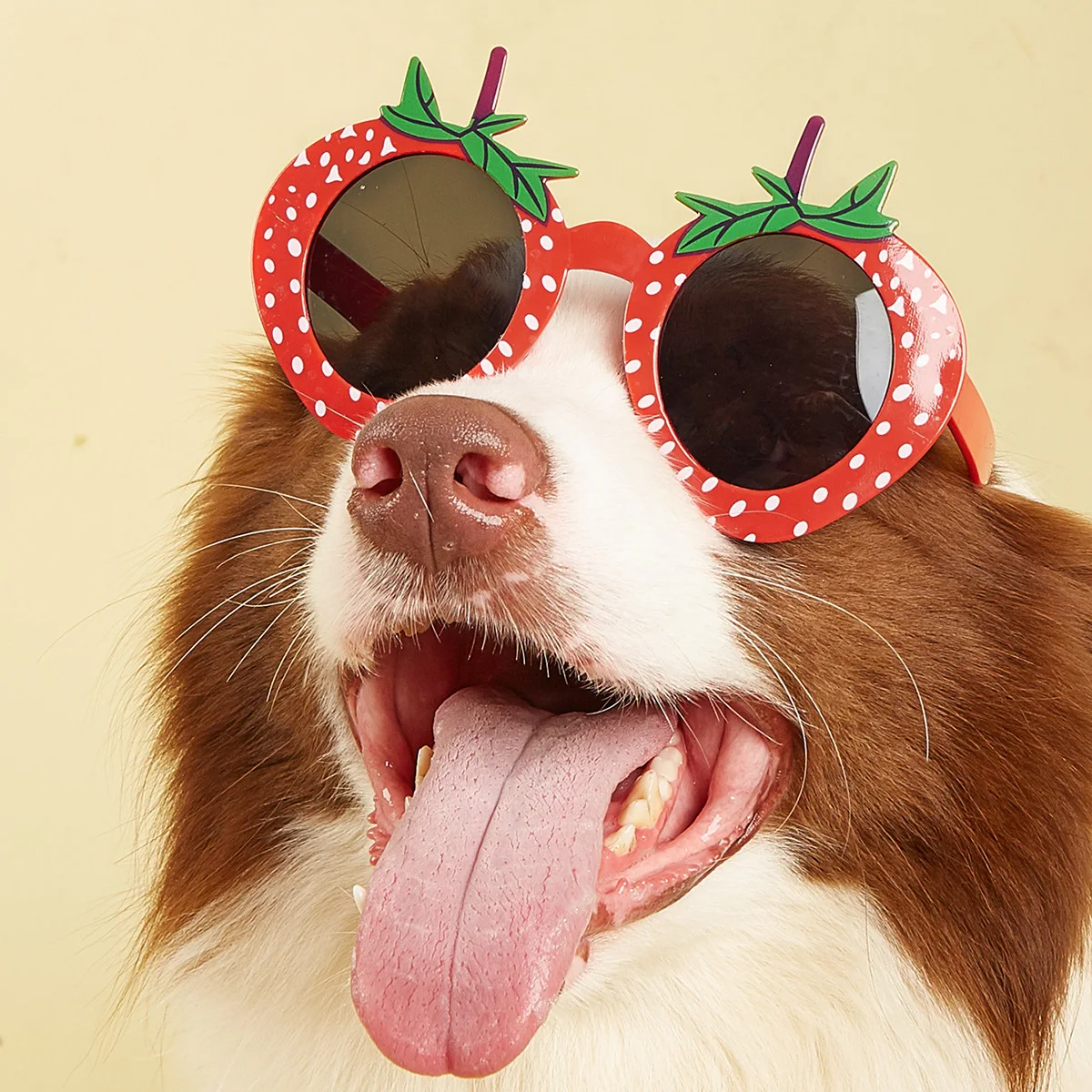 

Pet Dog Cats Glasses Fruits Strawberries Flowers Funny Glasses Take Photo Modeling for Pet Puppy Decor Accessories Products