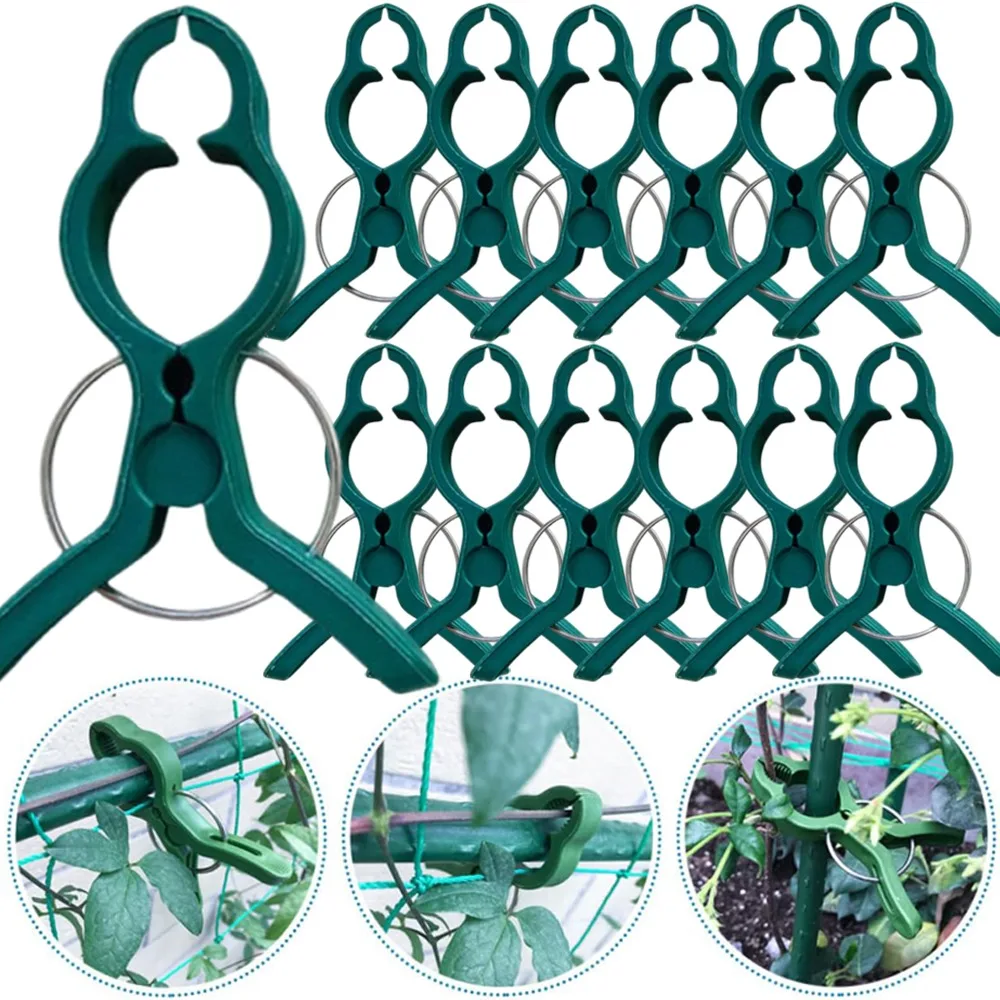 50/10PCS Plant Vegetable Support Grafting Clips Cucumber Eggplant Watermelon Vine Fixing Clip Plastic Household Gardening Tool