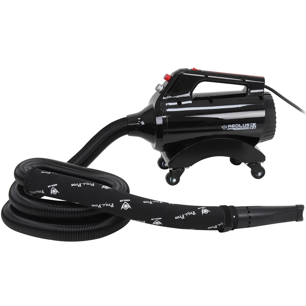 Car Detailing Blower with Brushless Motor