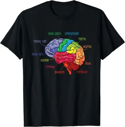 Anatomy Of The Brain Neurologist Gift Idea Tee T-Shirt S-5XL