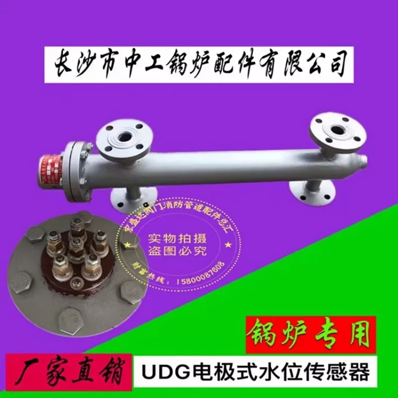 Changsha Zhonggong Boiler Accessories UDG36K/B-G Electrode Water Level Sensor L=300 350 440mm