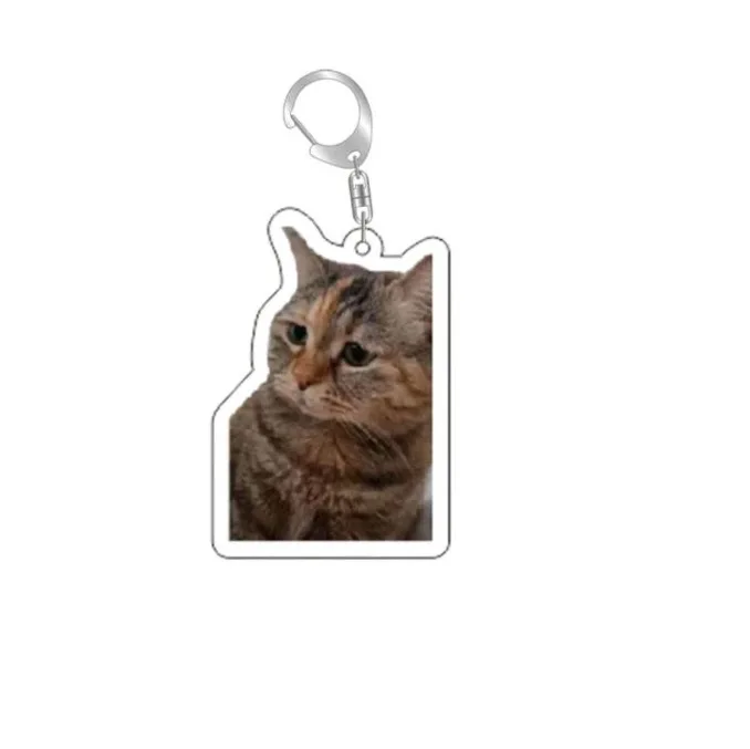 Grappige Cat Memes-serie sleutelhanger Student Gift Bag Lanyard Damestas hanger sleutelhanger Leuke dingen Goedkoop cadeau voor beste vrienden
