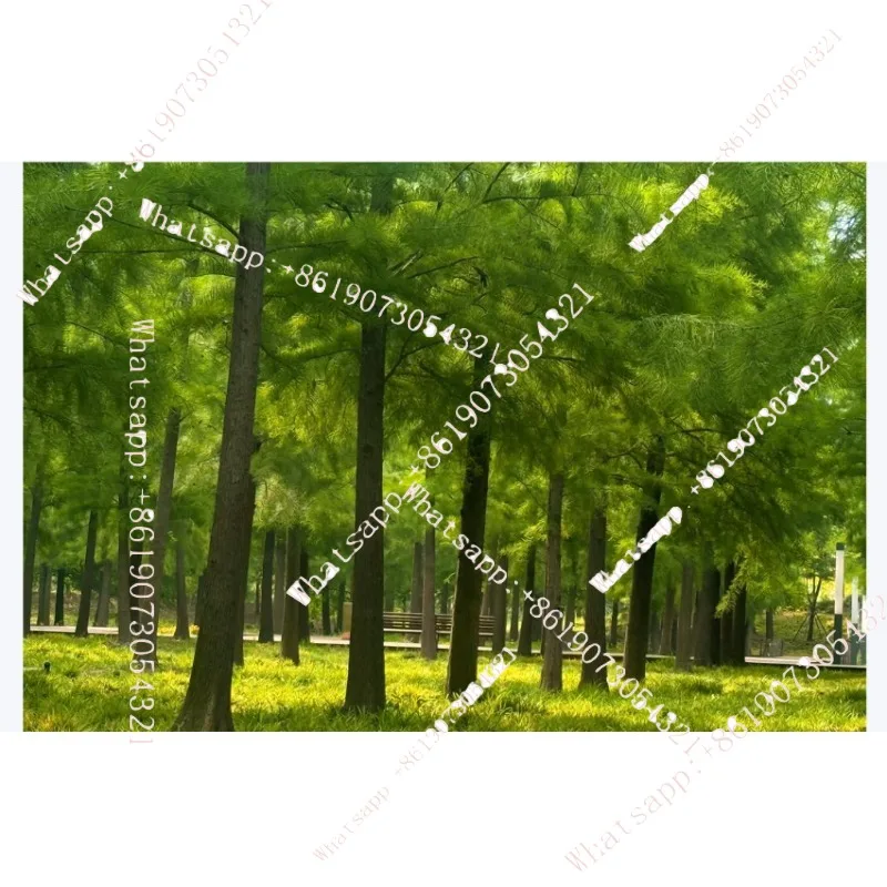 1pcs Touch screen and Lcd screen for X12 （New, Original）
