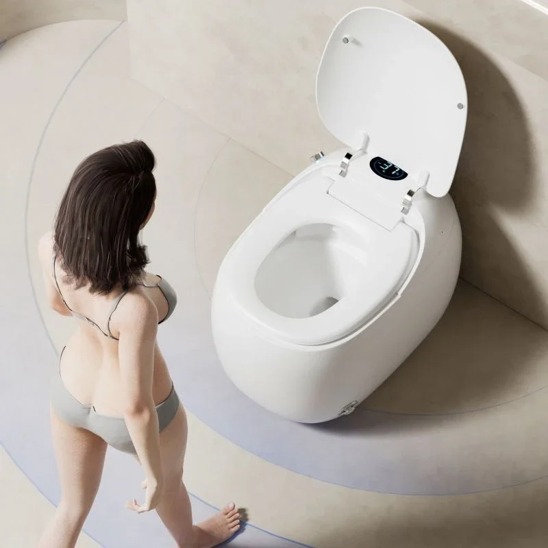 The Most Popular All-in-one Porcelain Floor Automatic Flushing Egg Smart Toilet with Remote Control