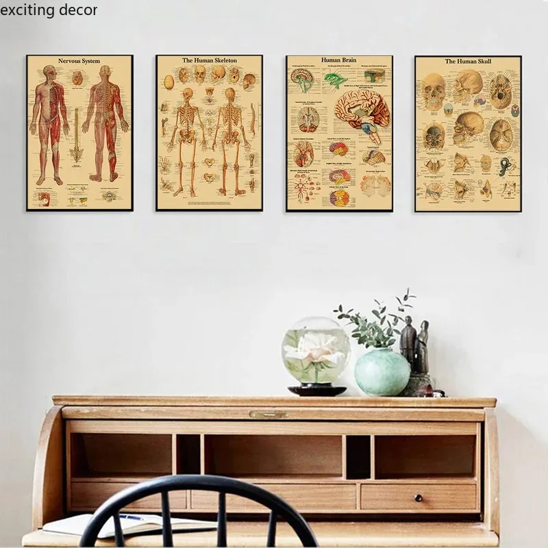 English German French Spanish Italian Version Anatomy The Body Structure Poster Retro Canvas Medical Room Art Wall Decor