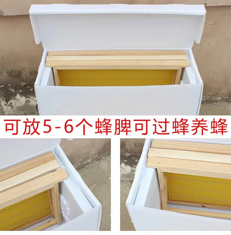 Queen Rearing Bee Hives PP Cardboard Nucleus Plastic Nuc Bee Box