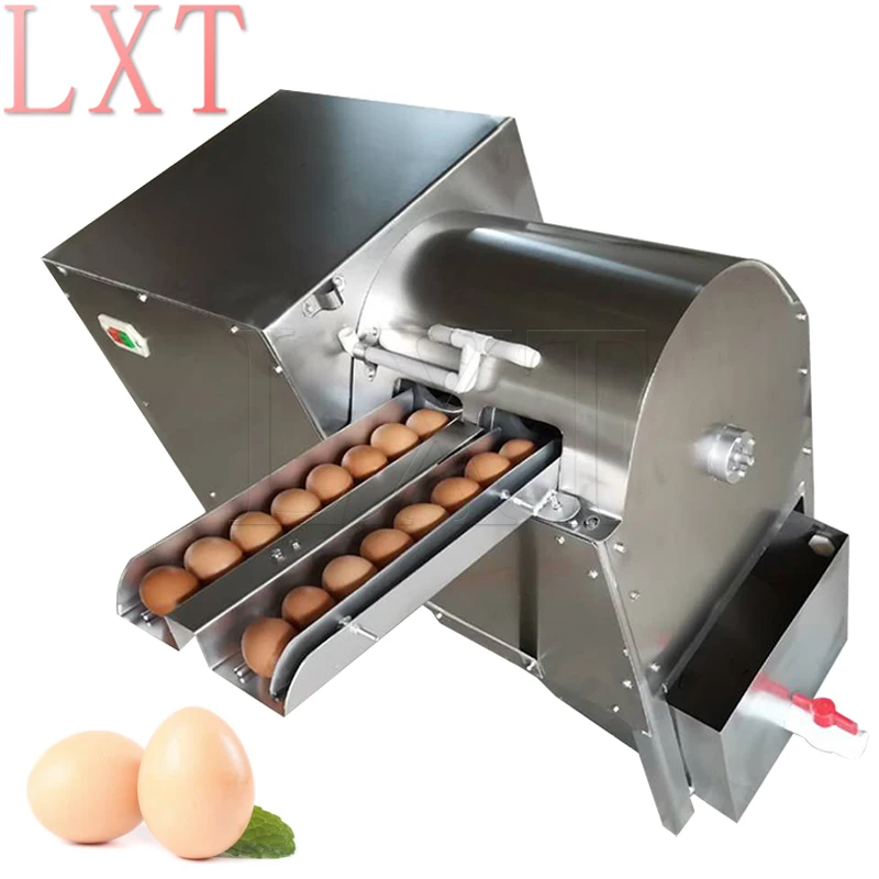 Double Row Egg Washing Machine Egg Washer 550W Egg Cleaning Machinery Equipment