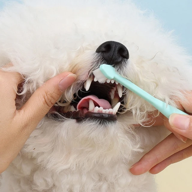 Dog shops dental brush