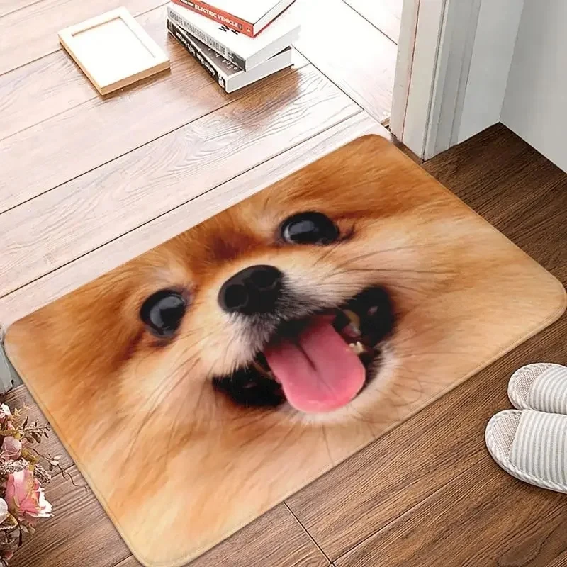 Cute Puppy Entrance Doormat Pomeranian Pattern Rug Living Room Bedroom Kitchen Anti Slip Carpet Home Decoration