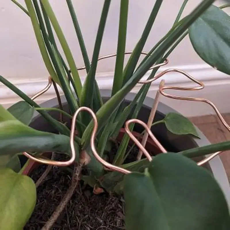 Poste de soporte de Monstera, pila de soporte en forma de Monstera resistente, fácil instalación, soporte decorativo para plantas, soporte para