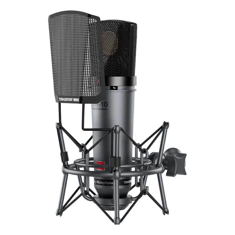 Takstar SM-10 Professional Condenser Microphone for Home Studio Voice Recording