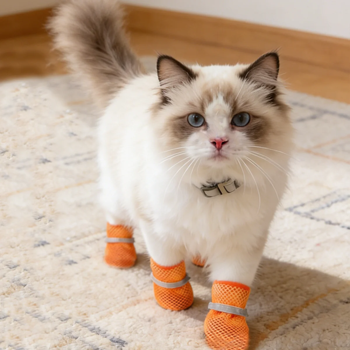 Thumbnail 4 - #83 Best Dog Boots to Buy In 2026