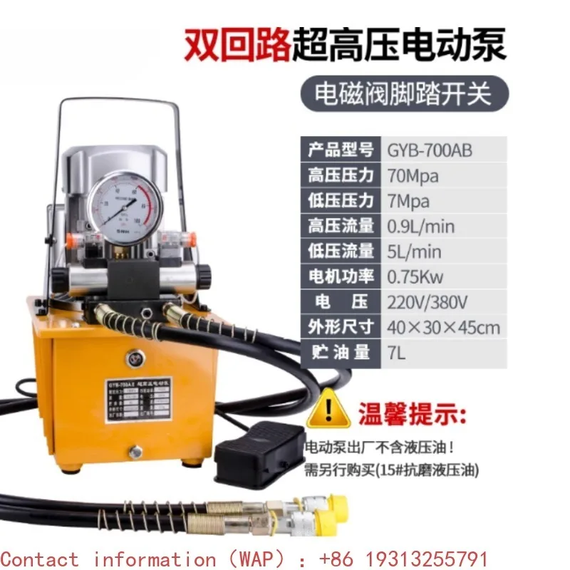 

【Factory Price】Dual Circuit Electric Pump