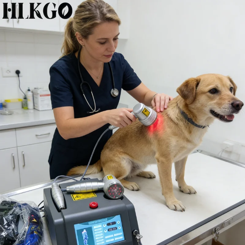 

Post Surgery Recovery Laser for Humans Pets 808nm 650nm Probes Treats Inflammation Arthritis Pain Wound Healing