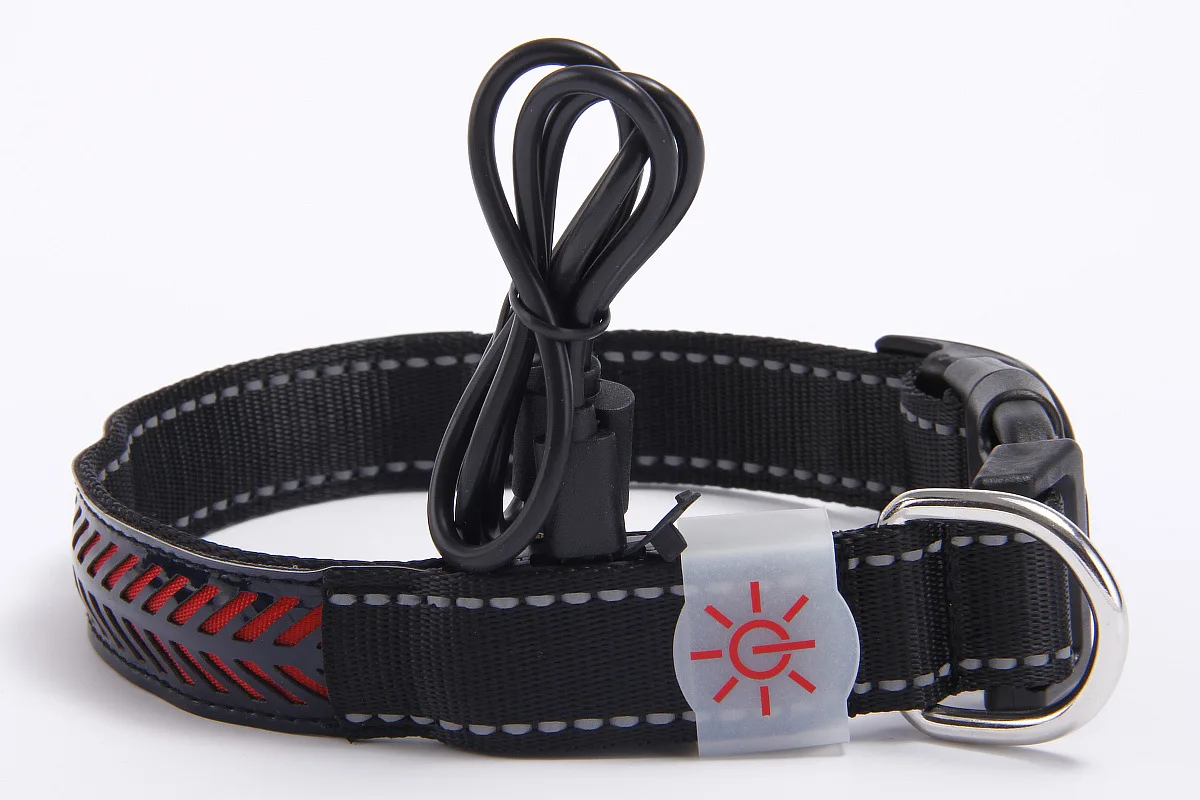 Collar luminoso Led para perro, Collar para mascotas recargable por USB, diseño grabado de cuero PU, Collar de luz nocturna ajustable para perros