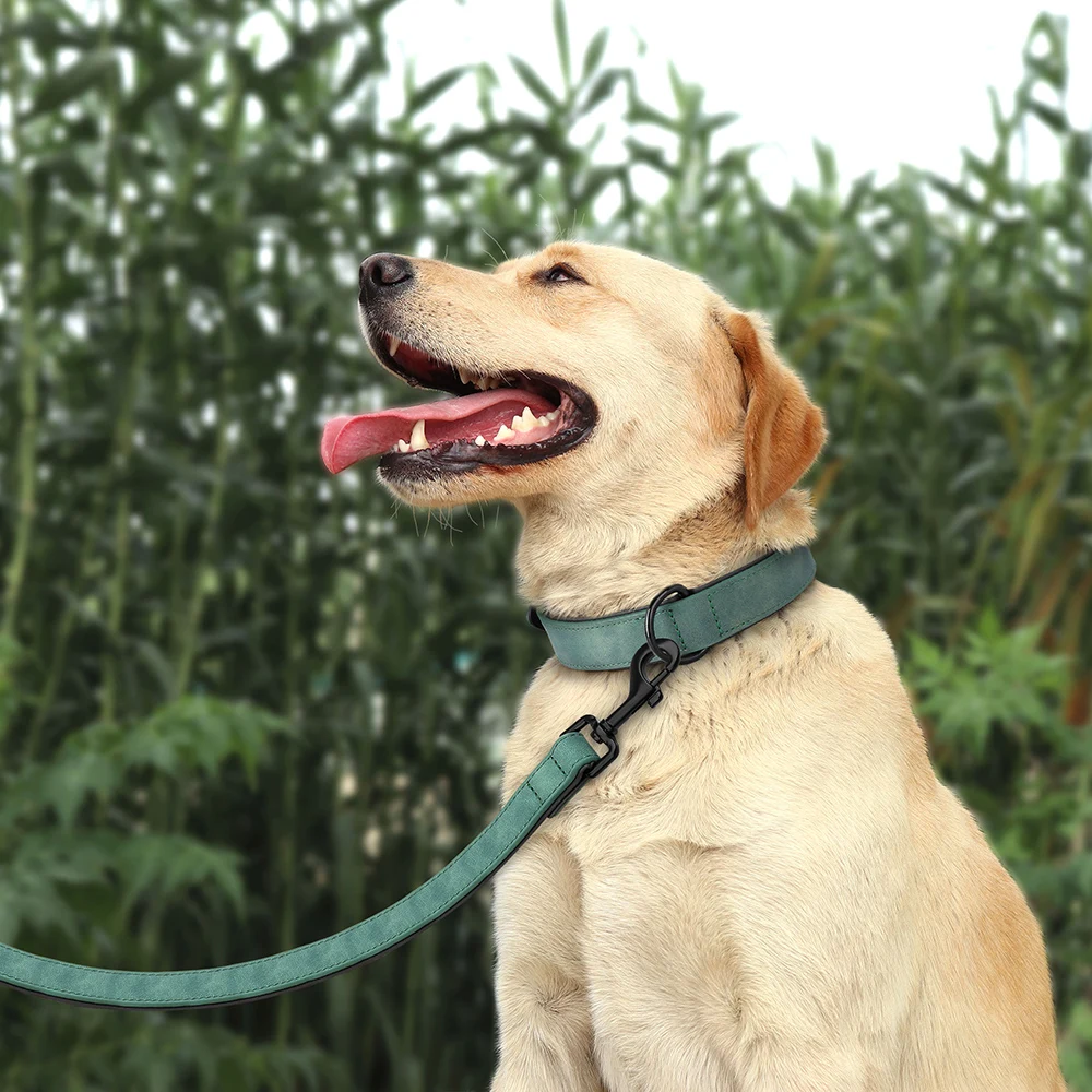 Dog Collar and Leash Set Soft Padded Dog Collars Durable Pet Walking Lead Belt for Medium Large Dogs Rottweiler Labrador Pitbull